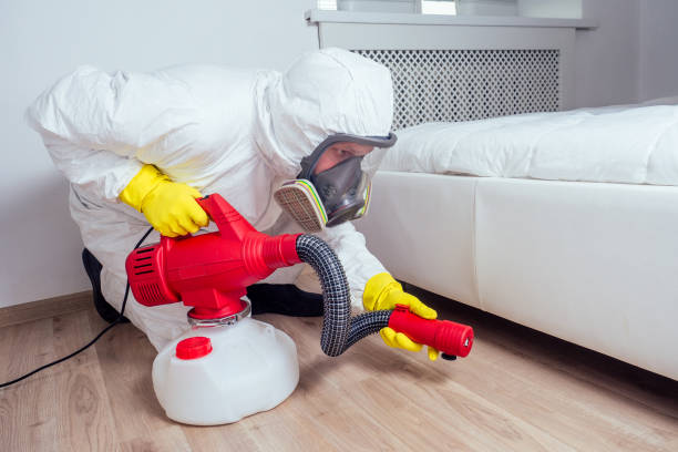 Best Pest Removal Services  in Palacios, TX